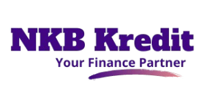 NKB Kredit Logo Without Background